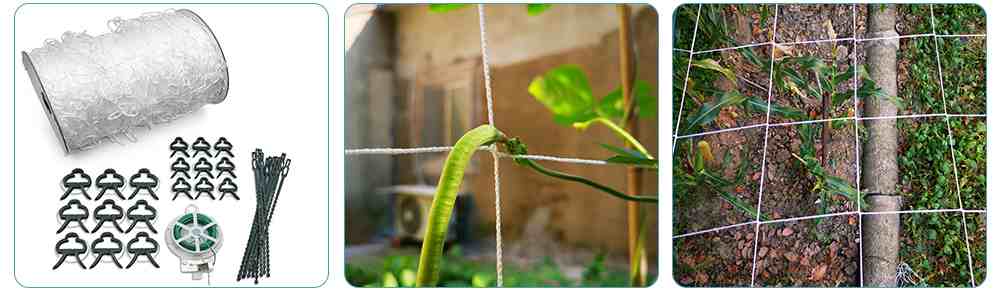 Trellis Netting