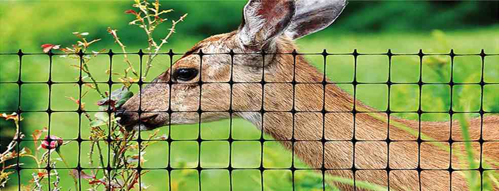 Deer Fence Netting