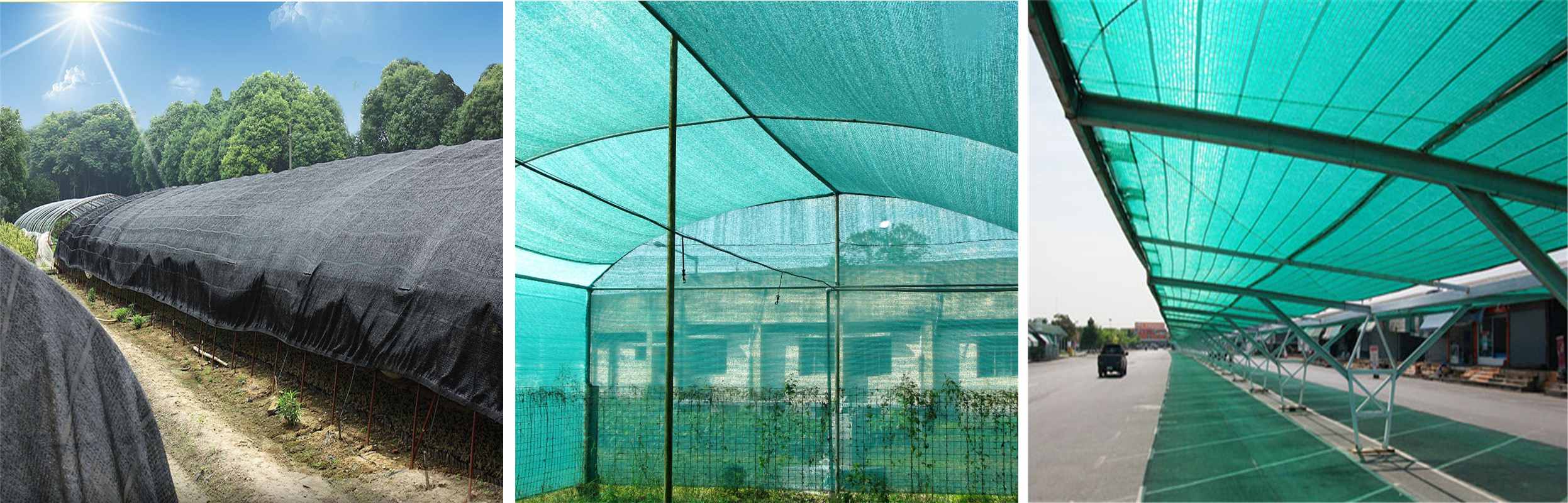 The advantages and uses of shade net are introduced