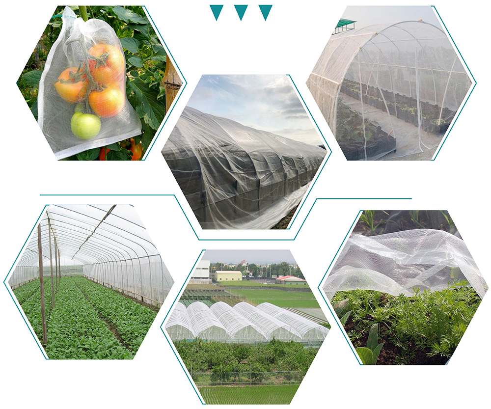 Anti Insect Net--making your farm say Bye bye to Biocide