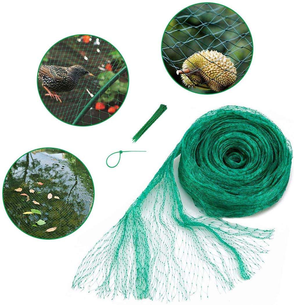 Learn more about the use of anti bird nets