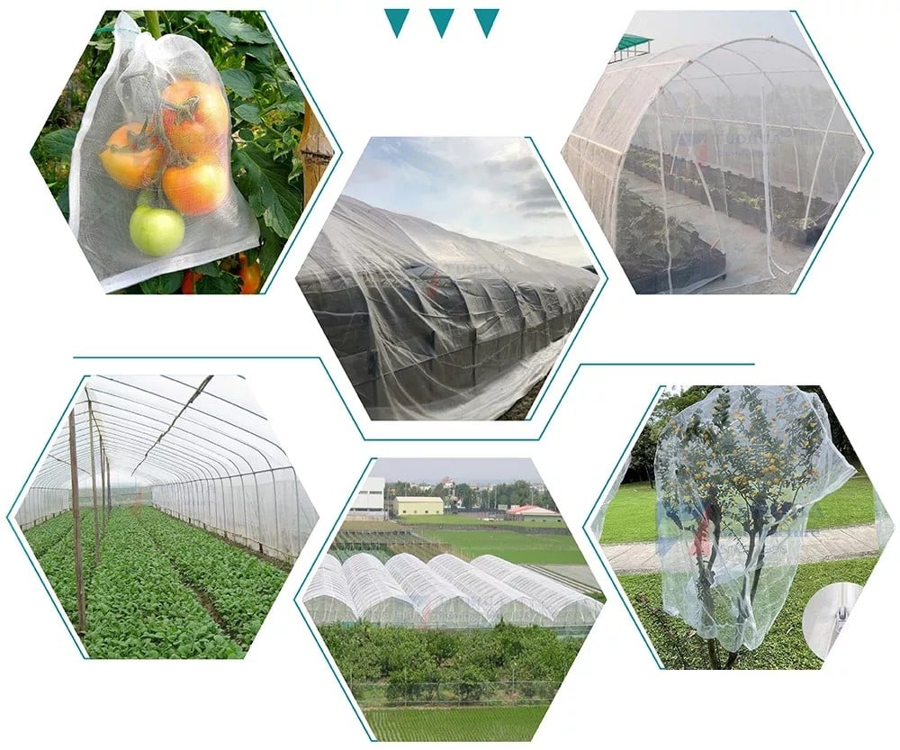 Do you really buy insect nets