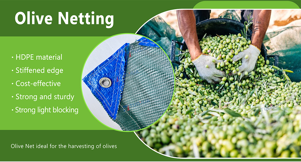 Olive Net (Olive Harvest Net, Olive Collection Net)