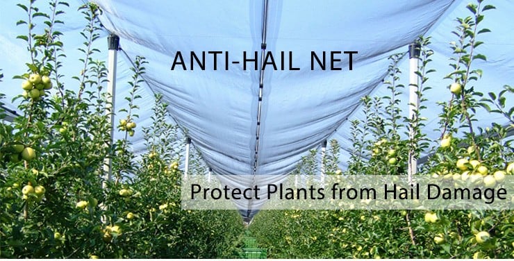 Anti-Hail-Net.jpg