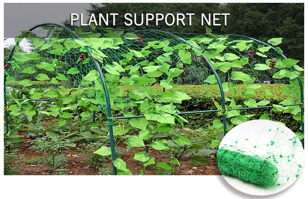 Plant Support Net.jpg