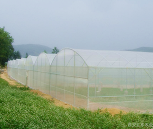 Greenhouse Insect Screen