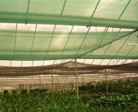 Agriculture Shade Net